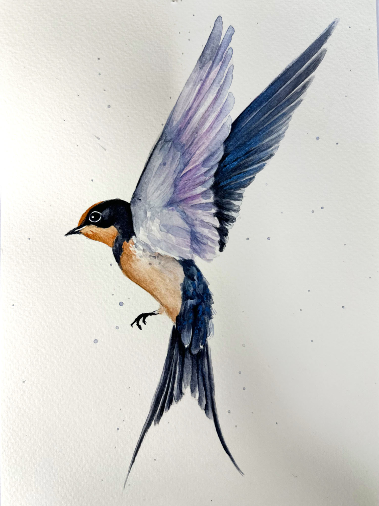 Artwork by Savanah. A detailed watercolour painting of a small bird. The bird has purple and blue wings and an orange body. Click to view full image.